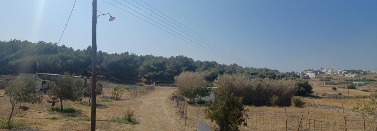 Rhykkes Farmhouse With View Daire Ano Sangrion Dış mekan fotoğraf